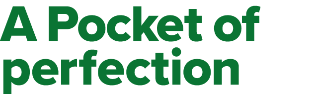 A Pocket of perfection