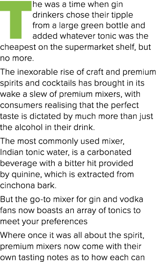 The was a time when gin drinkers chose their tipple from a large green bottle and added whatever tonic was the cheape   