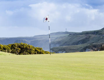 Portrush ,Co  Antrim N Ireland  Feb 18th 2015   Taken on the Royal Portrush Golf Club Course in 2015  This course (with some changes) is to host the 2019 British Open 