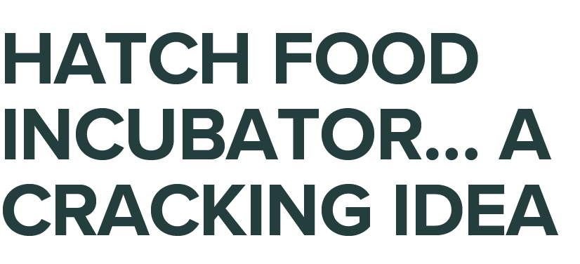 Hatch food incubator  a cracking idea