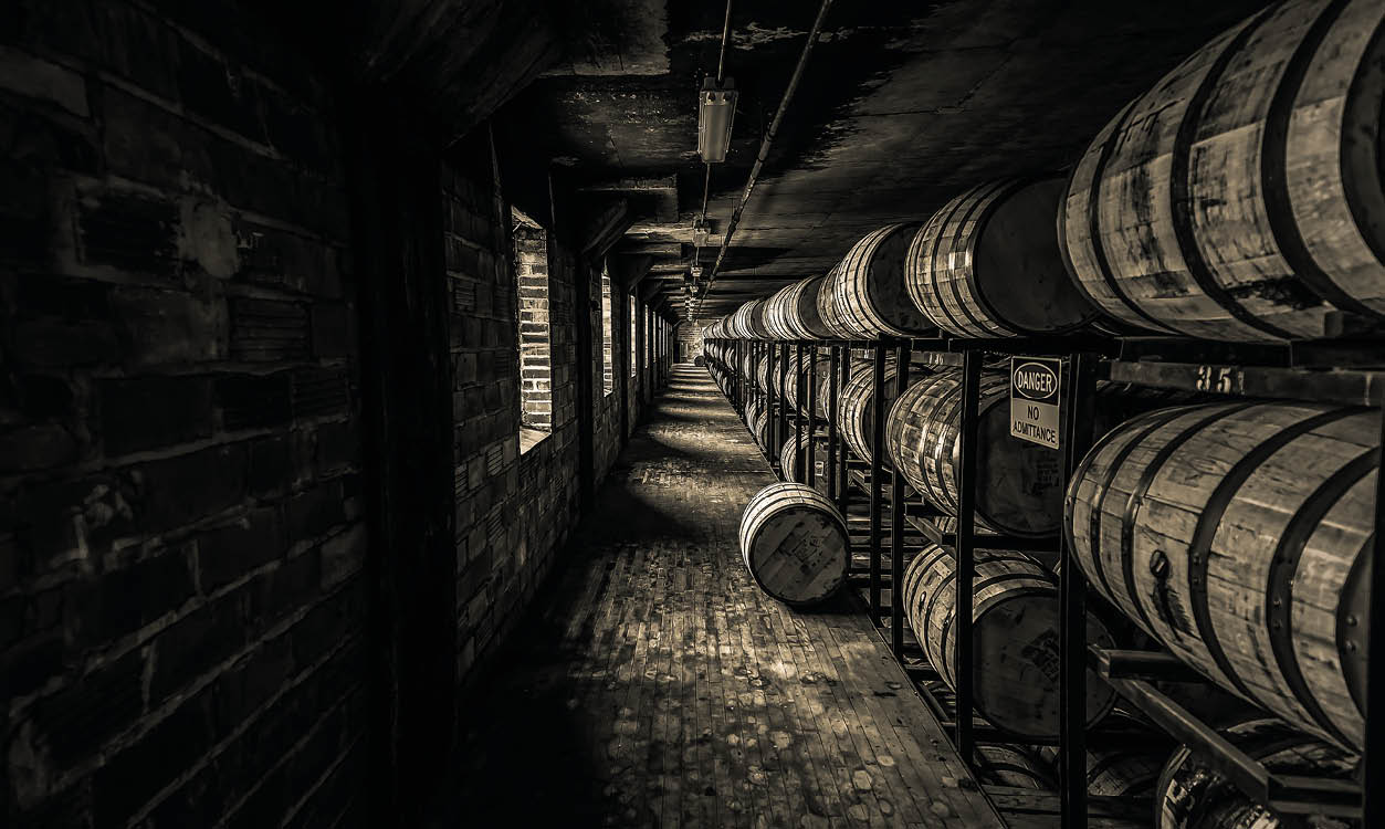 The Backbone of the World