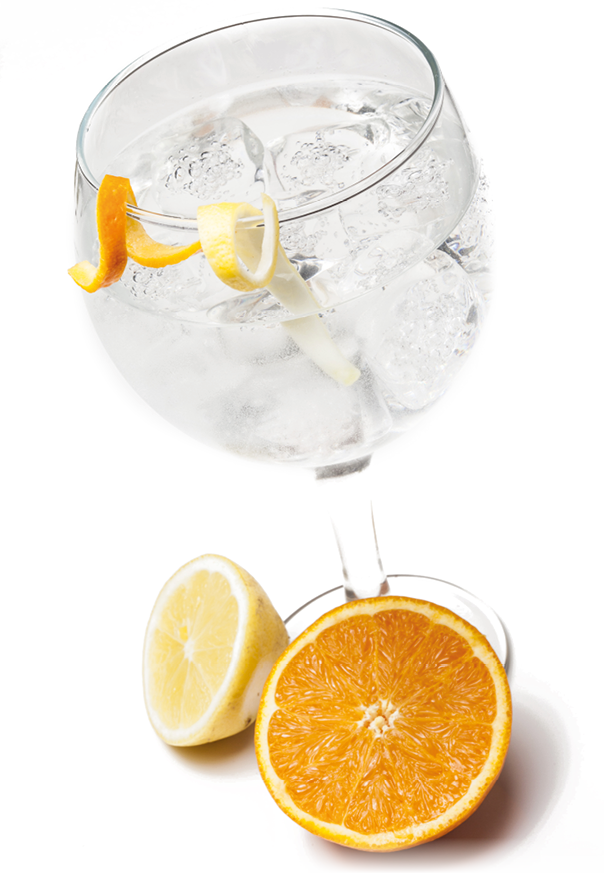 Gin tonic cocktail