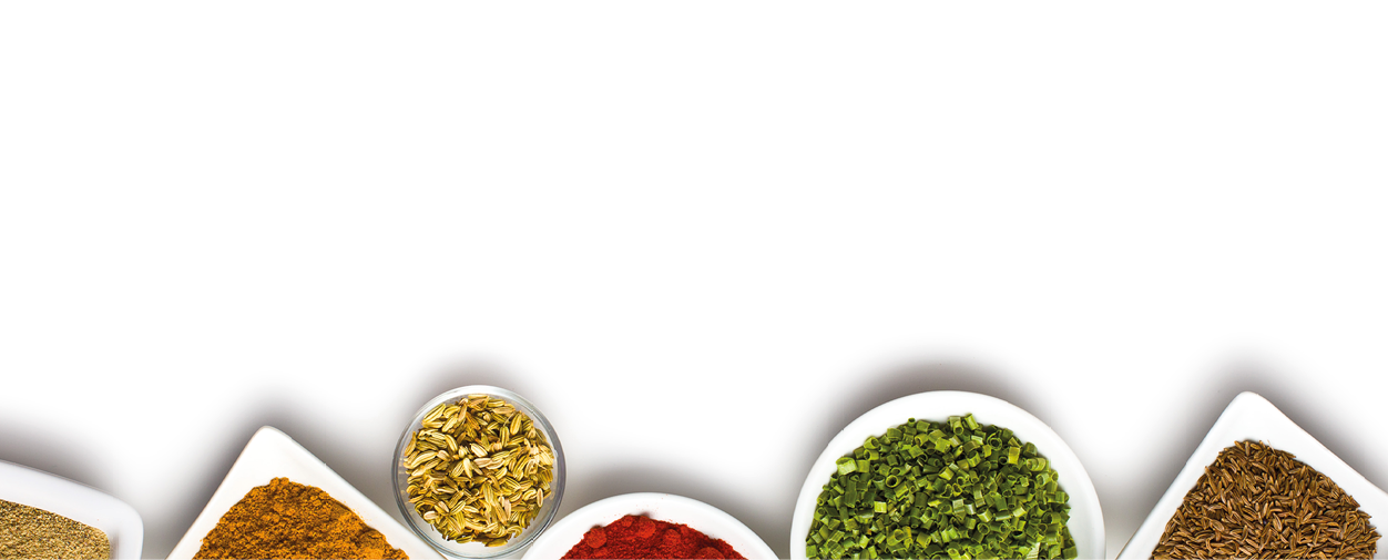 Various spices and herbs on white background 