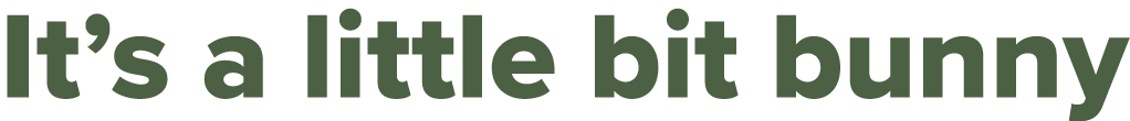 It’s a little bit bunny