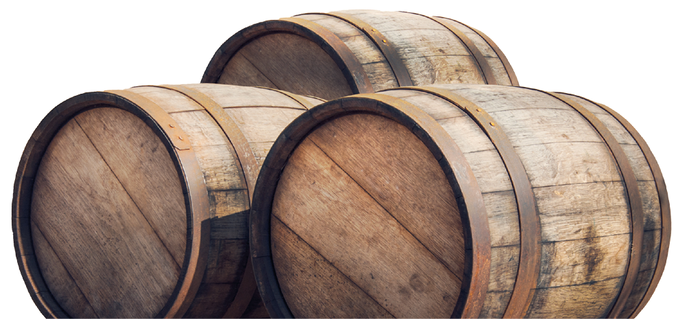 Wooden barrels for your presentation of alcoholic product on the wine making festival  Wide landscape with oak casks and grapevine leaves in a soft sunlight 