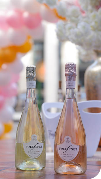 Press Eye - Belfast - Northern Ireland - 18th September 2024   Photo by Philip Magowan / Press Eye