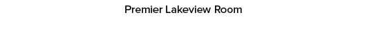Premier Lakeview Room