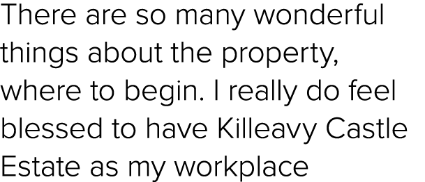 There are so many wonderful things about the property, where to begin. I really do feel blessed to have Killeavy Cast...