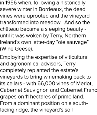 in 1956 when, following a historically severe winter in Bordeaux, the dead vines were uprooted and the vineyard trans   