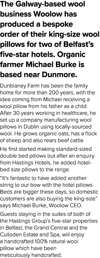 The Galway based wool business Woolow has produced a bespoke order of their king size wool pillows for two of Belfast...