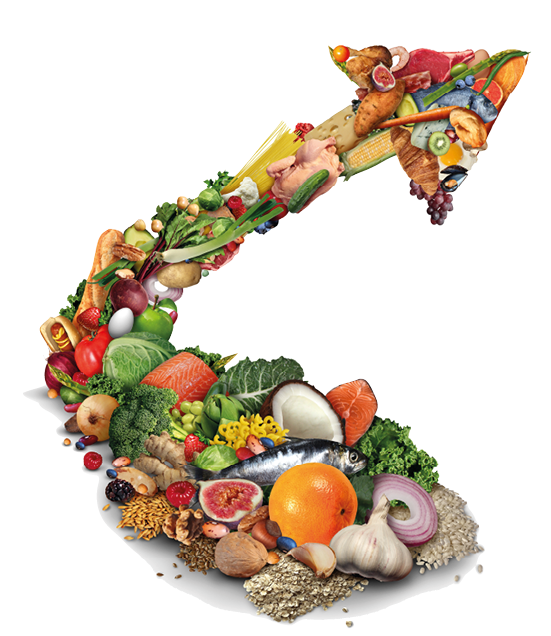 Food Price inflation and rising foods cost or grocery prices surging costs of supermarket groceries as an inflation financial crisis concept with a finance graph arrow.