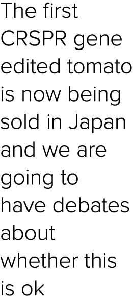 The first CRSPR gene edited tomato is now being sold in Japan and we are going to have debates about whether this is ok