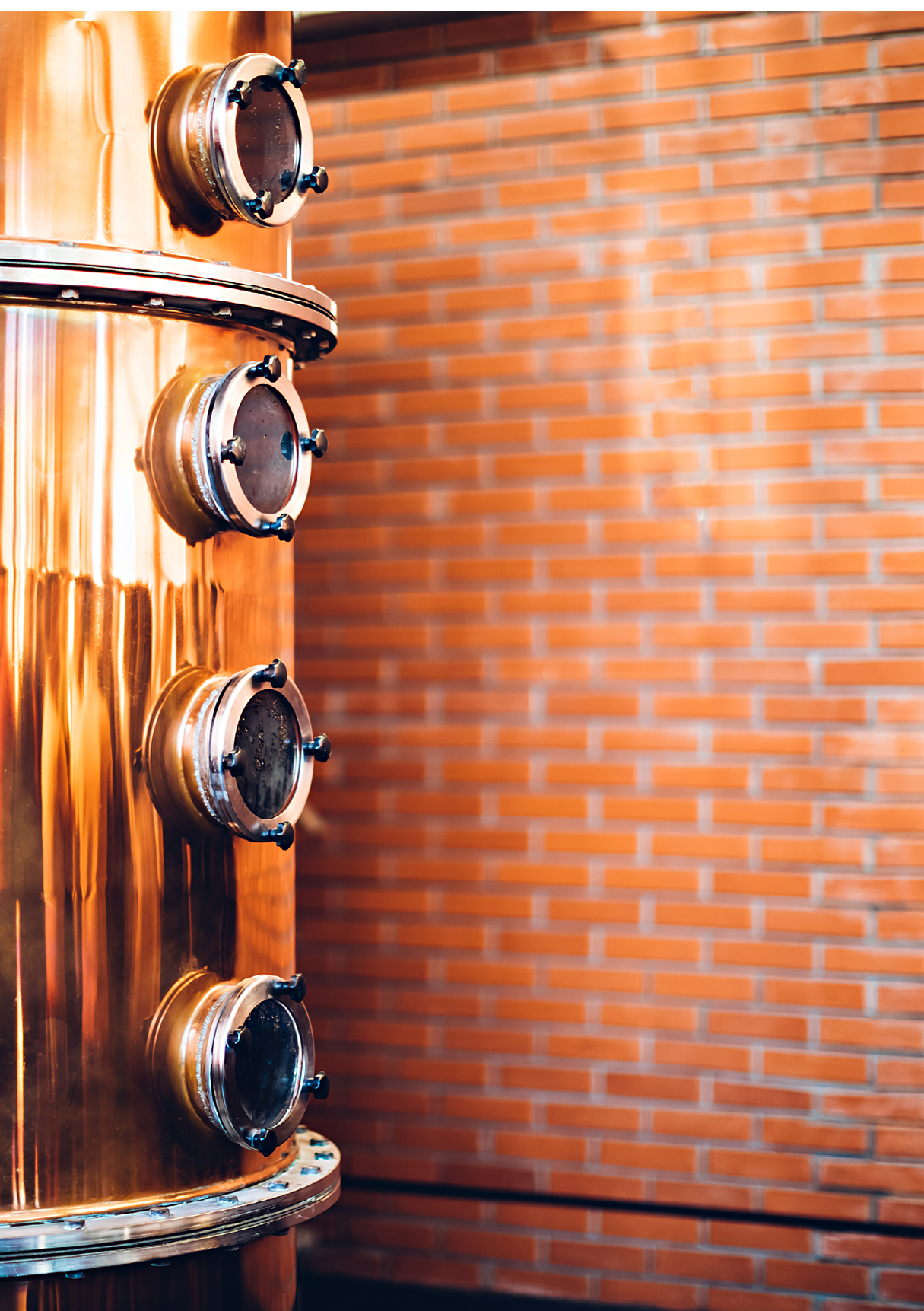 Industrial equipment for brandy production