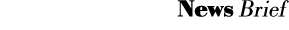 News Brief