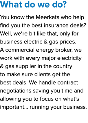 What do we do? You know the Meerkats who help find you the best insurance deals? Well, we’re bit like that, only for ...