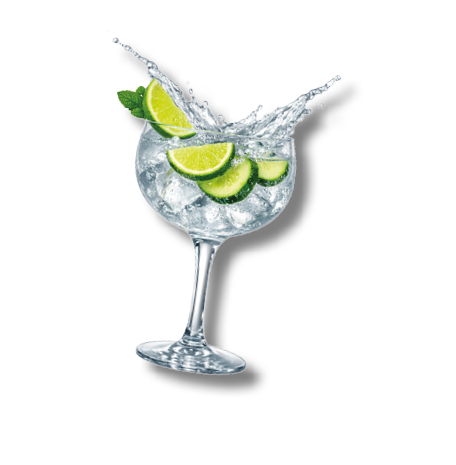 A glass of water with lime slices in it. Description generated by AI