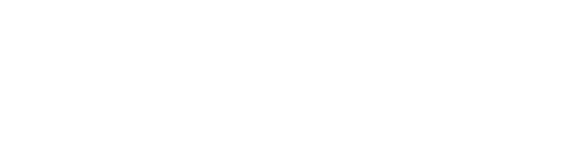 The Entrepreneurial Spirit