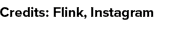 Credits: Flink, Instagram