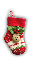 Santa gift sock set, Christmas gifts on white background. The concept of holidays and fun.