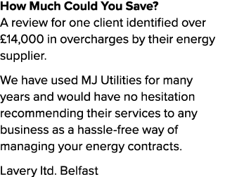 How Much Could You Save? A review for one client identified over £14,000 in overcharges by their energy supplier. We ...