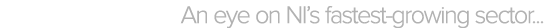 An eye on NI’s fastest growing sector...