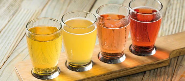 Refreshing Hard Cider Flight of Beers to Drink