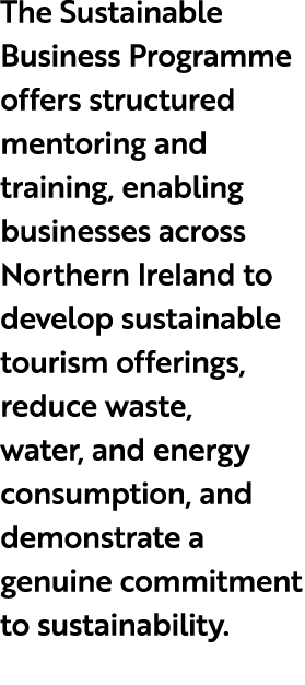 The Sustainable Business Programme offers structured mentoring and training, enabling businesses across Northern Irel...