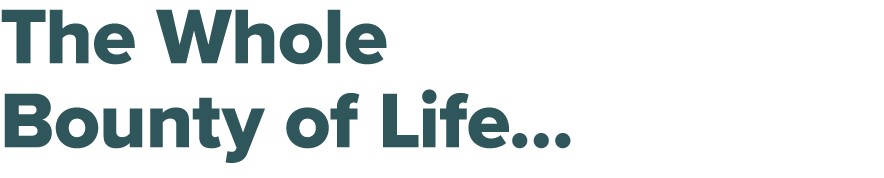 The Whole Bounty of Life…