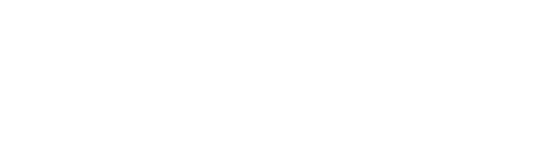 A Night Of Fun And CelebratioN