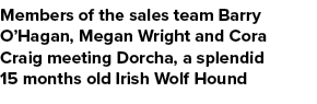 Members of the sales team Barry O’Hagan, Megan Wright and Cora Craig meeting Dorcha, a splendid 15 months old Irish W...