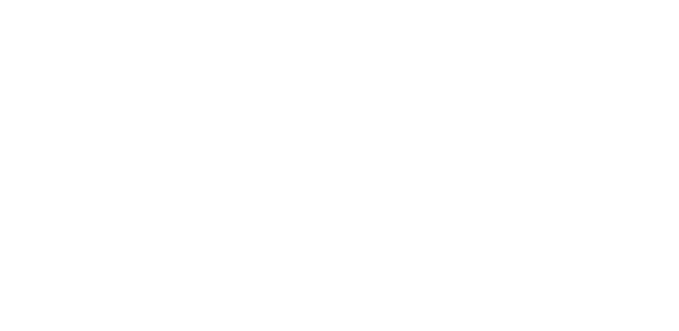 HIGH SPIRITS