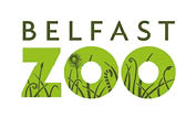 The logo for Belfast Zoo features the word “BELFAST" in uppercase letters above the word "ZOO," with the letters "ZOO" filled with green grass and plant silhouettes. Description generated by AI