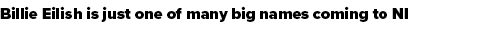 Billie Eilish is just one of many big names coming to NI
