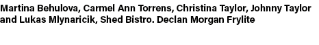 Martina Behulova, Carmel Ann Torrens, Christina Taylor, Johnny Taylor and Lukas Mlynaricik, Shed Bistro. Declan Morga...