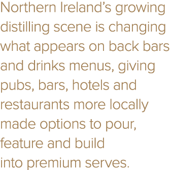 Northern Ireland’s growing distilling scene is changing what appears on back bars and drinks menus, giving pubs, bars...