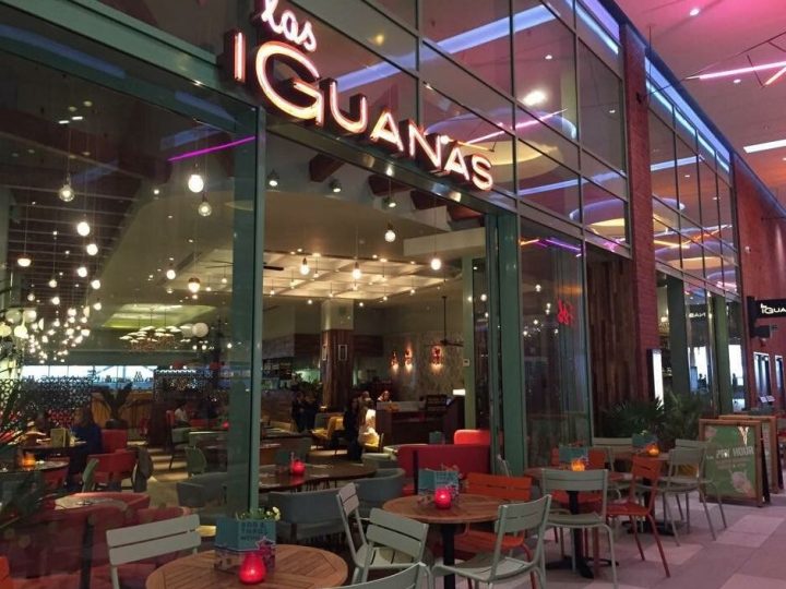 Restaurant group eyes NI sites as part of £50m expansion