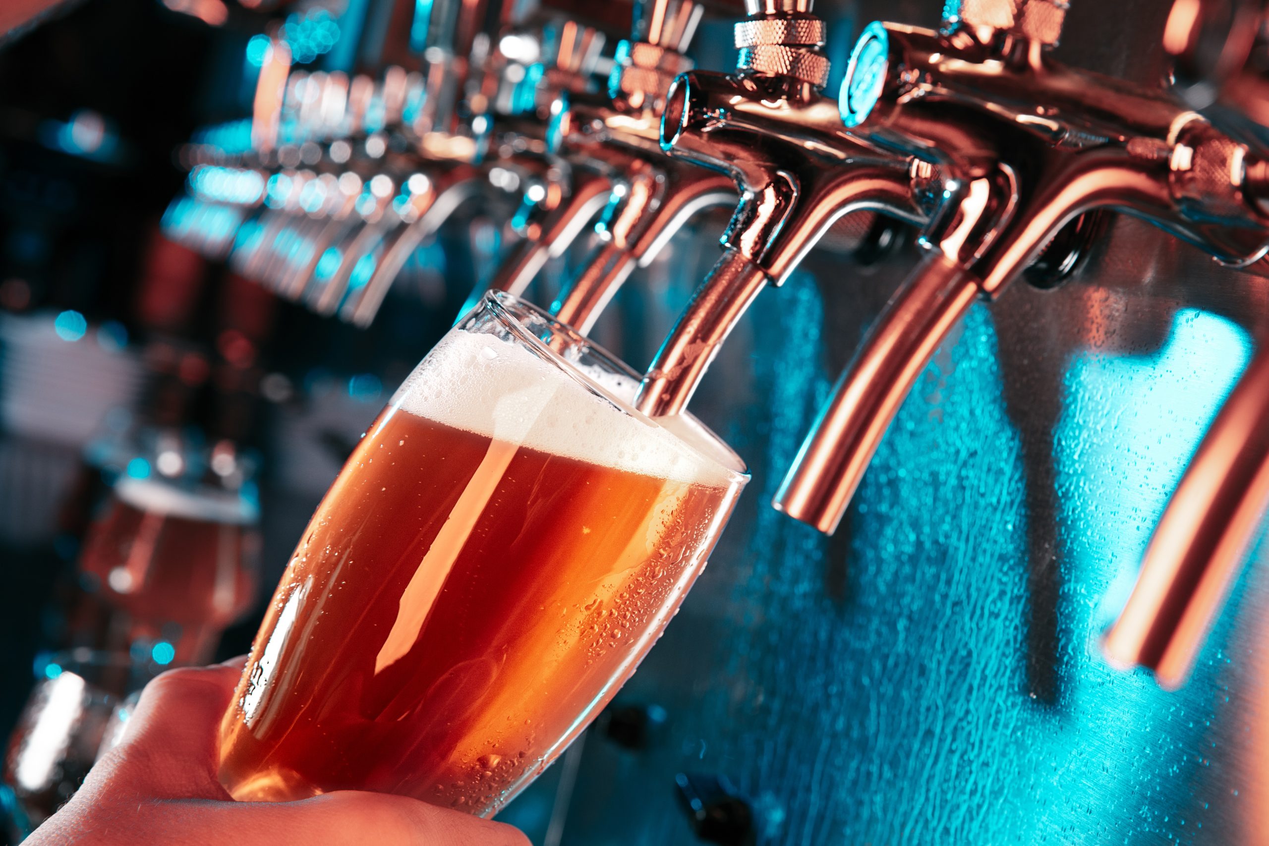 MPs in plea to cut duty on draught beer