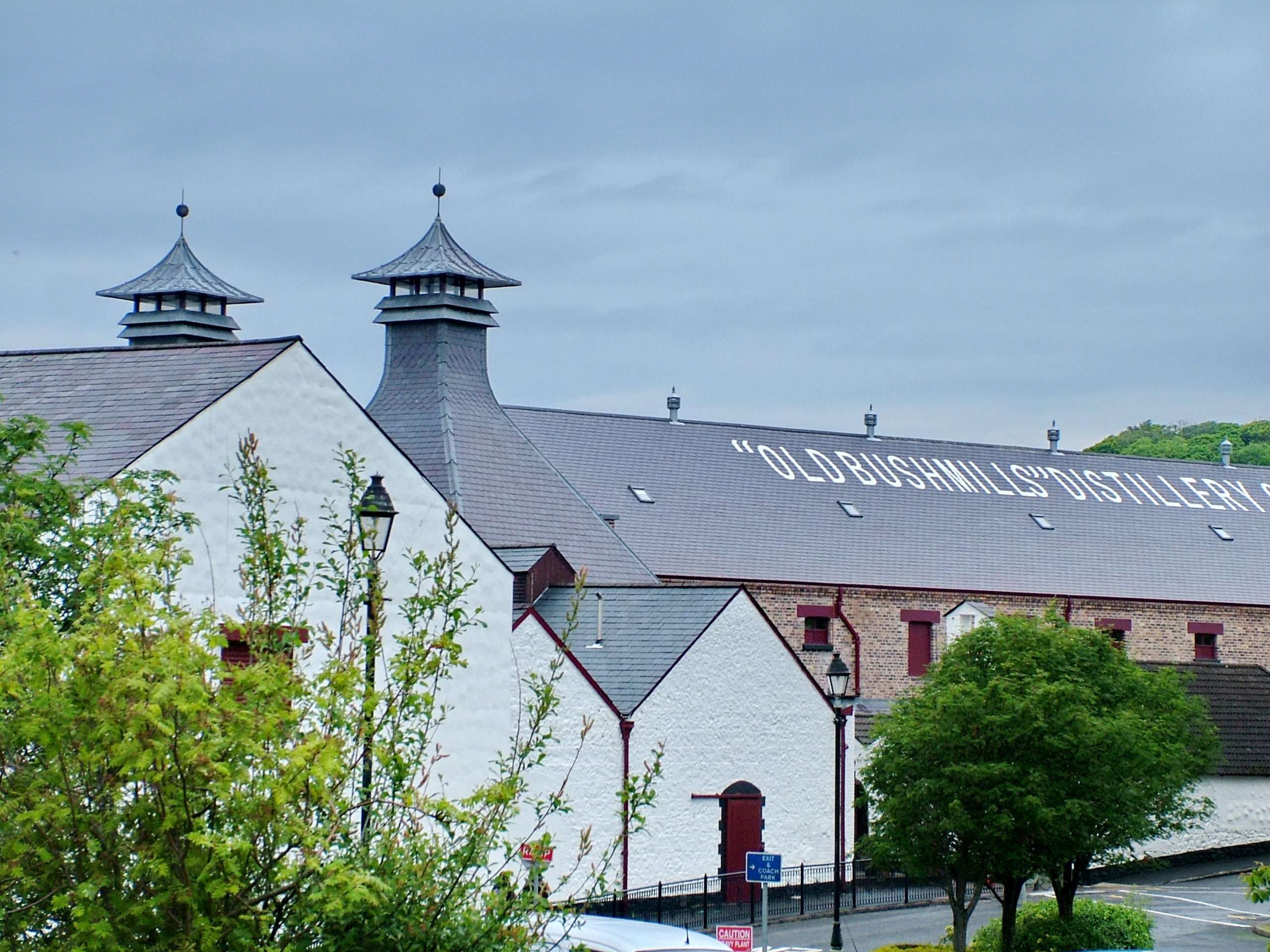 Lockdown recovery sees Bushmills revenues up 36%