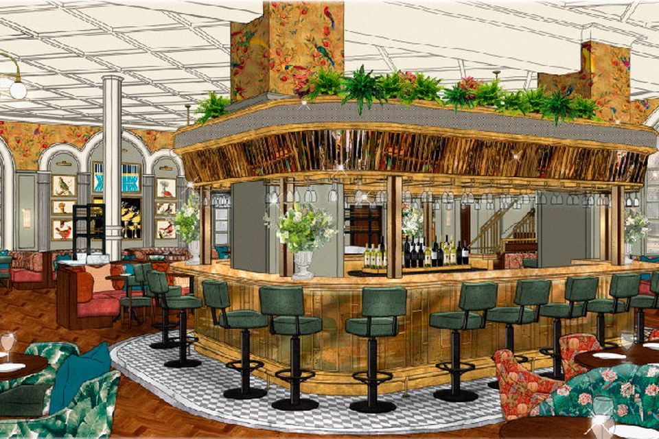 Belfast’s Ivy set to open in September