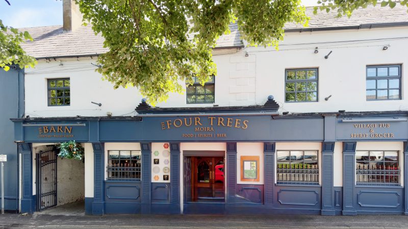 From roots to recognition: The Four Trees