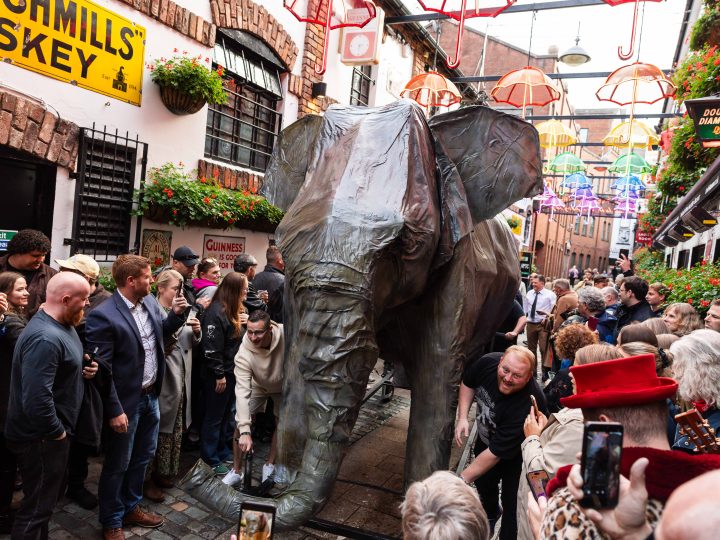 Giant elephant brought to life in alternative Culture Night