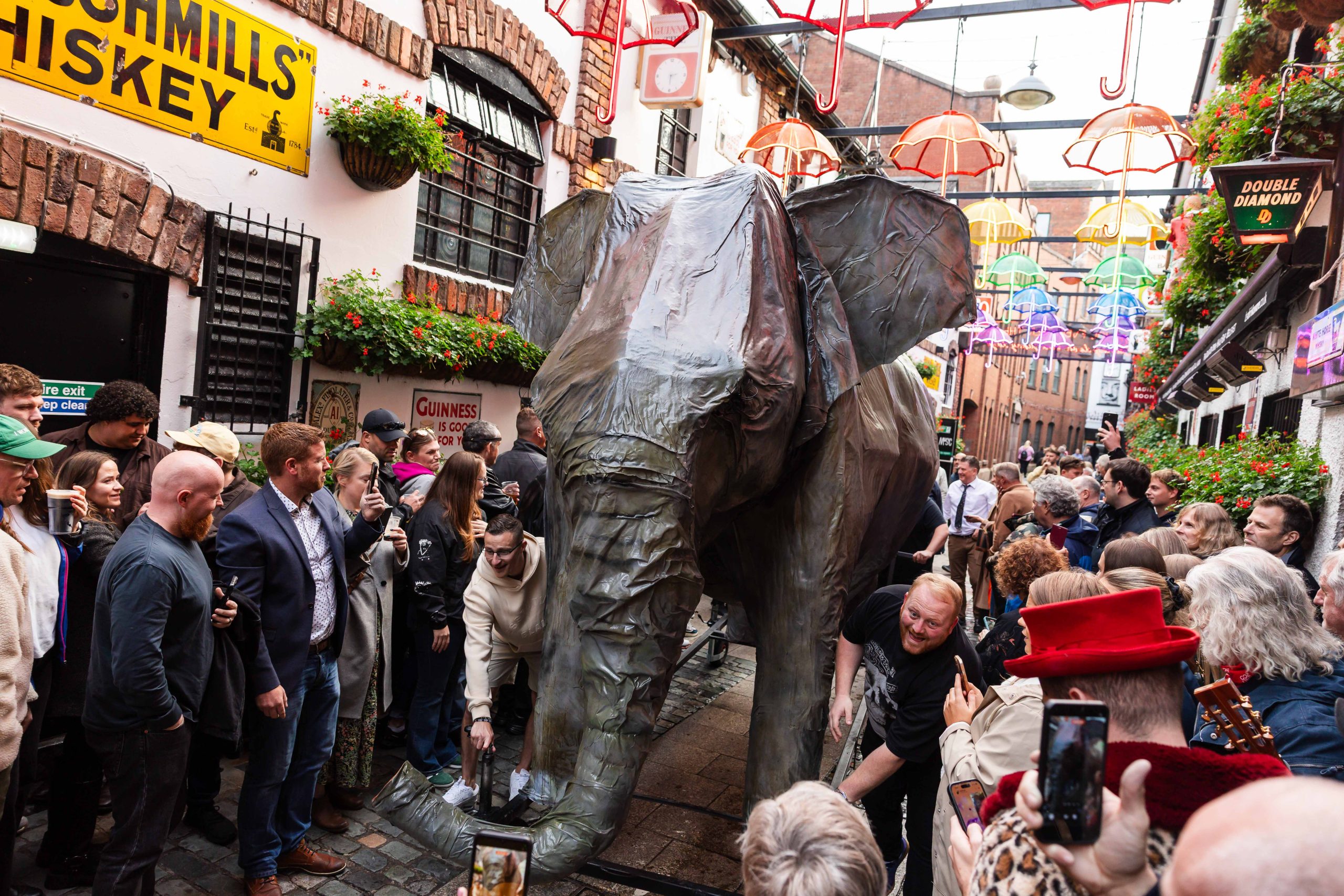 Giant elephant brought to life in alternative Culture Night